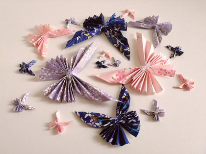 蝶コレクション <br> Collezione Farfalla