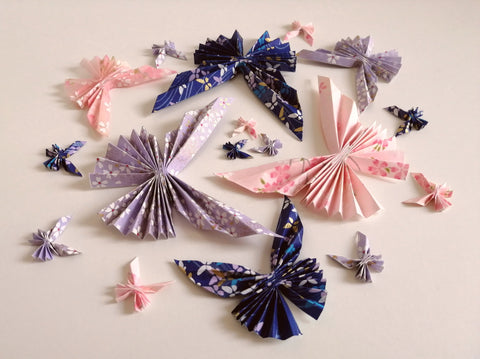 蝶コレクション <br> Collezione Farfalla