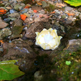 Portaoggetti fiore di loto